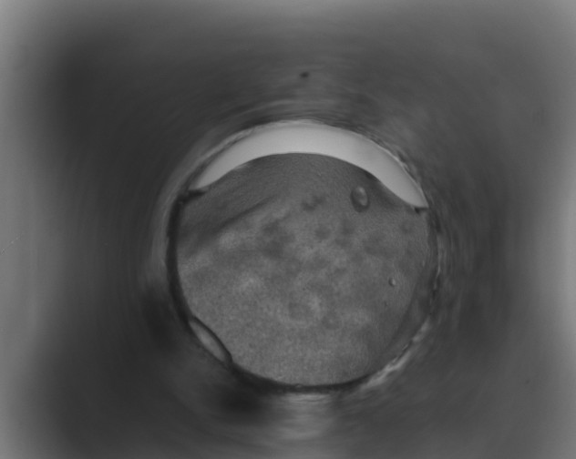 X0000088480150200706191413