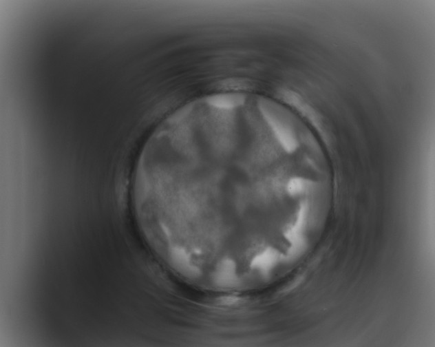 X0000088480153200706191413