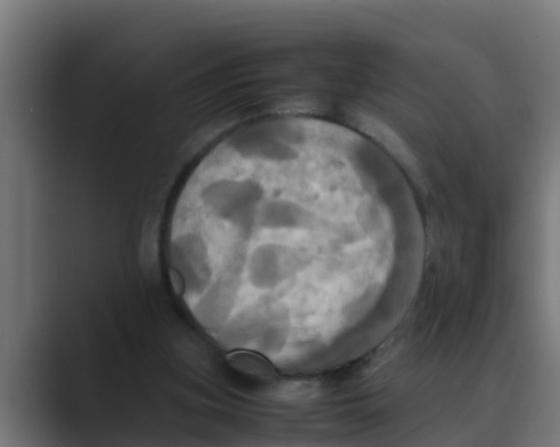 X0000088480155200706191413