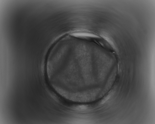 X0000088480156200706191413