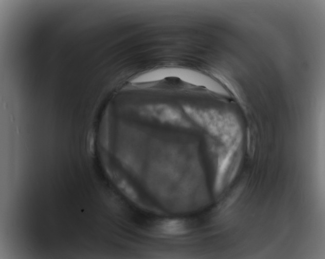 X0000088480157200706191413