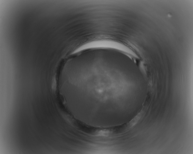 X0000088480158200706191413