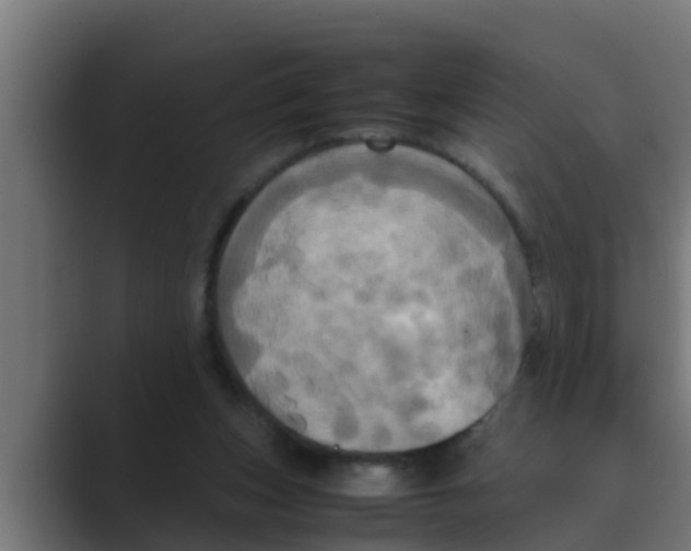 X0000088480159200706191413