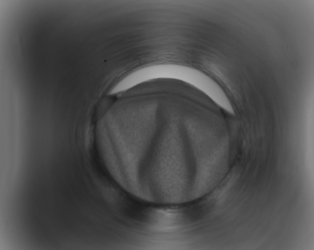 X0000088480164200706191413