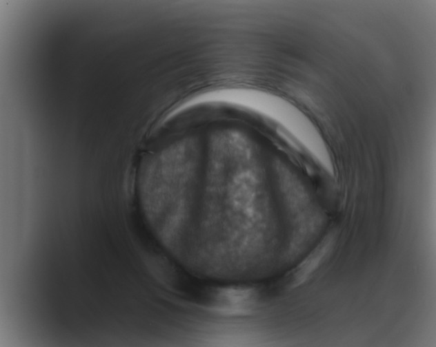 X0000088480168200706191413