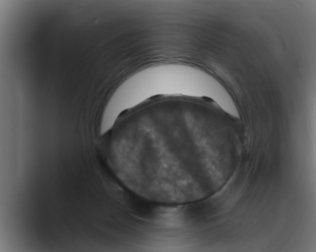 X0000088480170200706191413