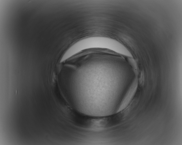 X0000088480172200706191413