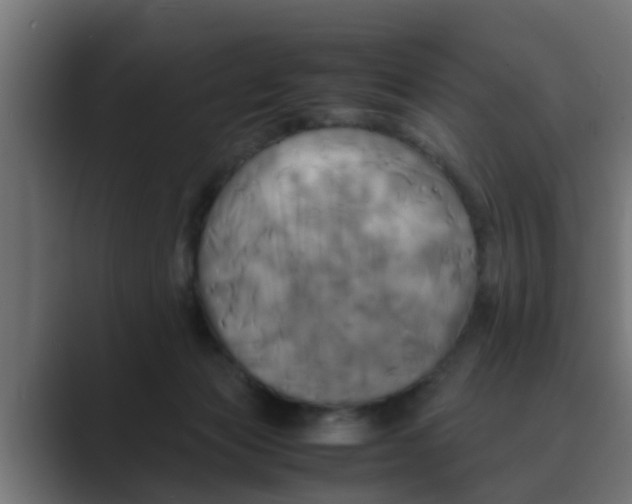 X0000088480173200706191413