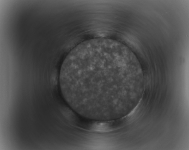 X0000088480174200706191413