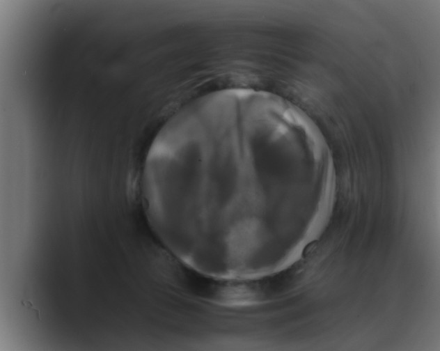 X0000088480177200706191413