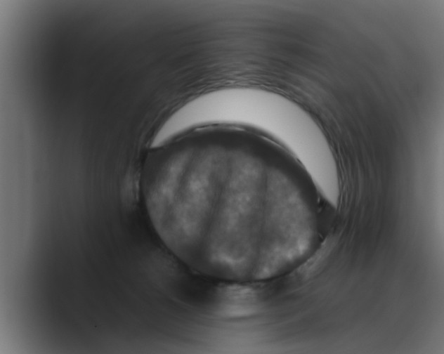 X0000088480180200706191413