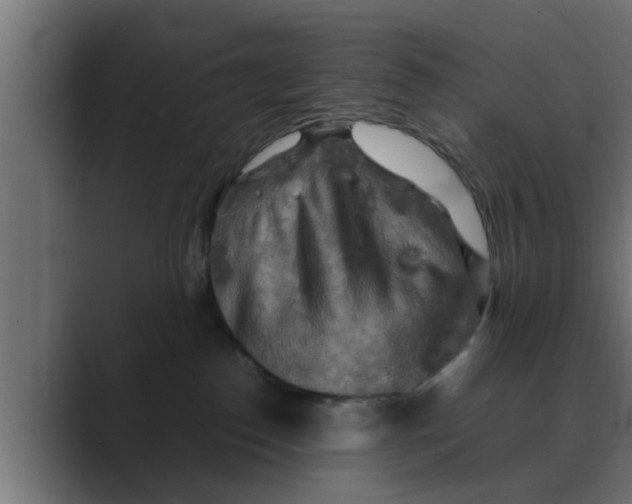 X0000088480186200706191413