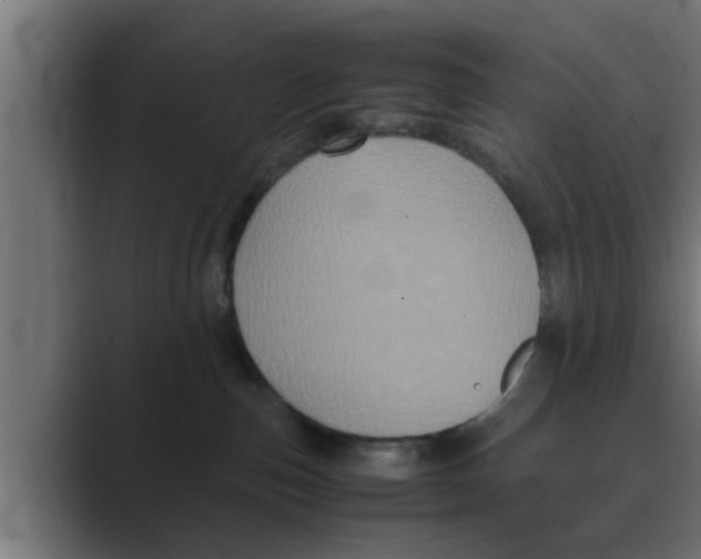 X0000088480187200706191413