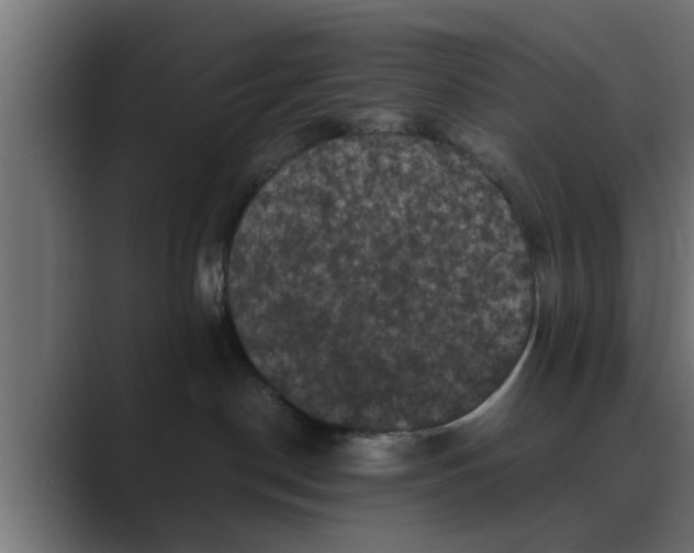 X0000088480190200706191413