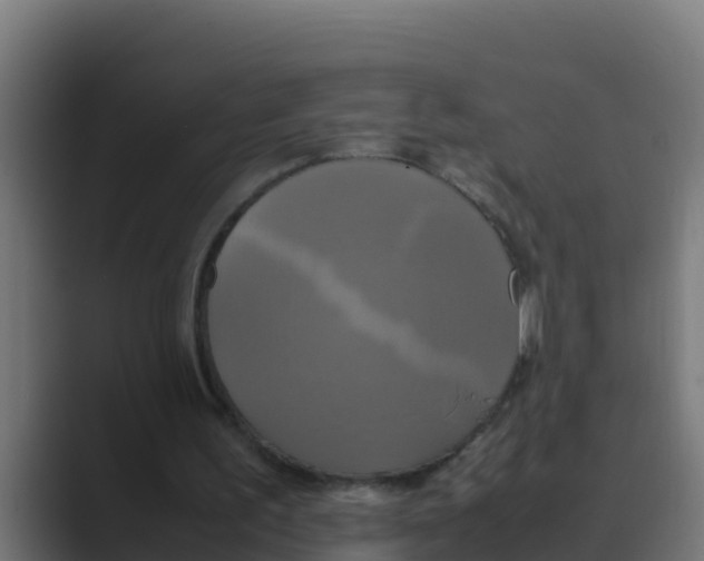 X0000088480195200706191412