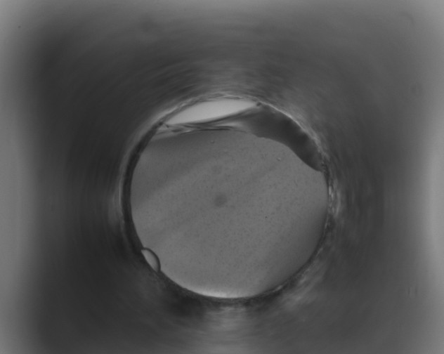 X0000088480196200706191412