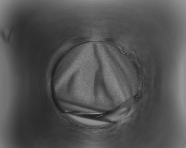 X0000088480197200706191412