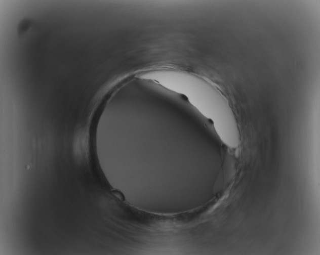 X0000088480200200706191412