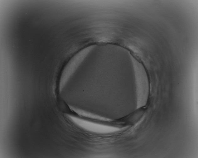 X0000088480201200706191412