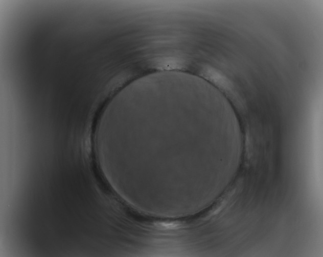 X0000088480202200706191412