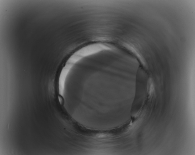 X0000088480204200706191412