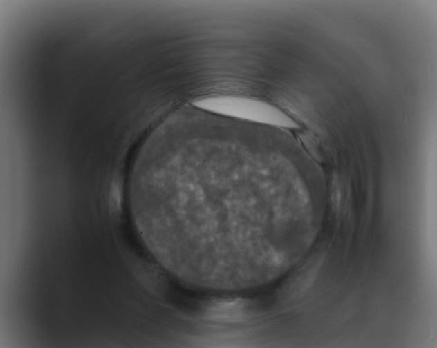 X0000088480206200706191412