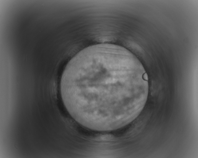 X0000088480210200706191412