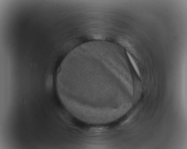 X0000088480213200706191412