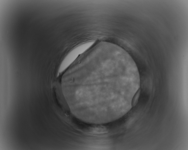 X0000088480215200706191412