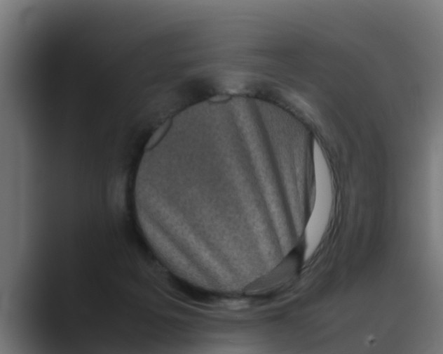 X0000088480217200706191412