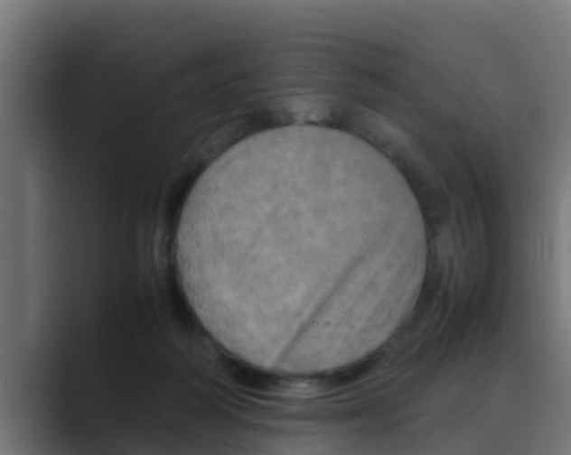 X0000088480218200706191412