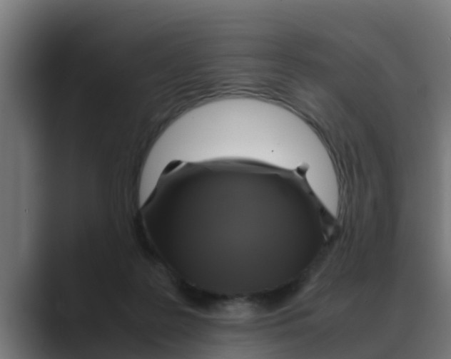 X0000088480219200706191412