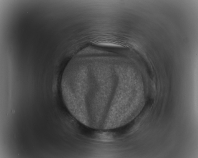 X0000088480221200706191412