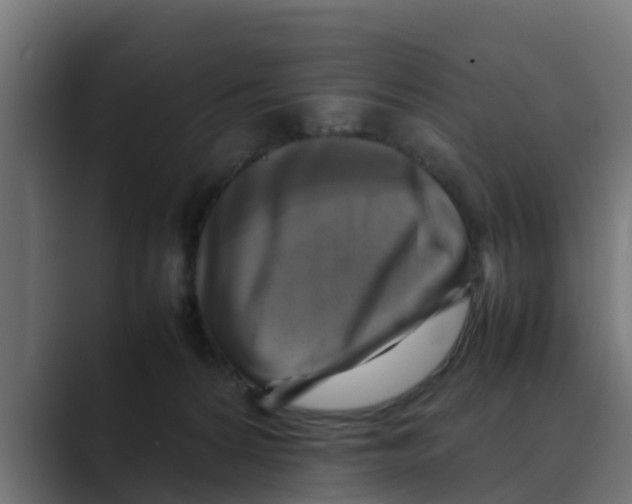 X0000088480224200706191412