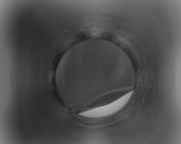 X0000088480225200706191412