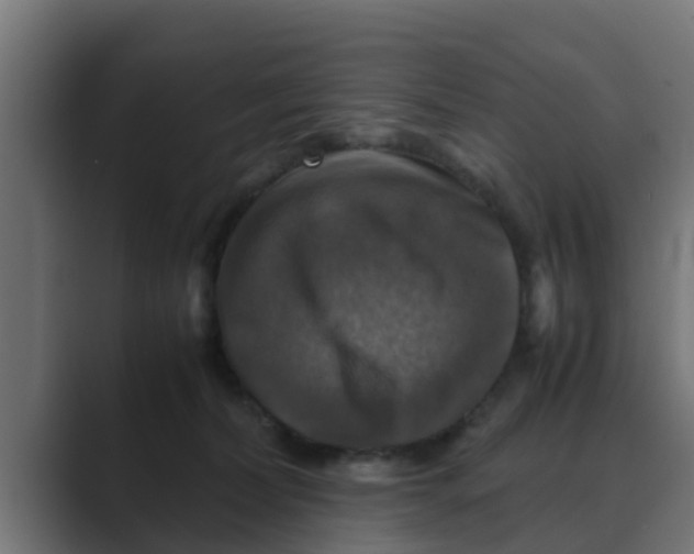 X0000088480228200706191412