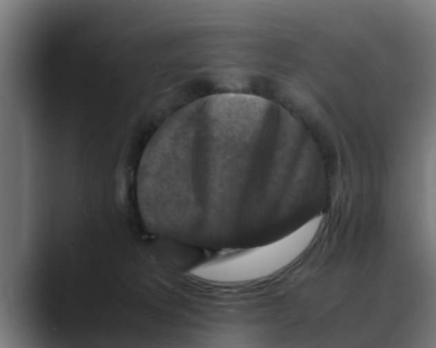 X0000088480229200706191412