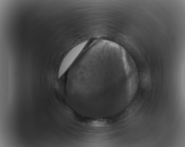 X0000088480232200706191412