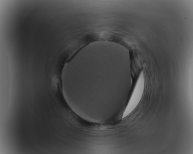 X0000088480235200706191412