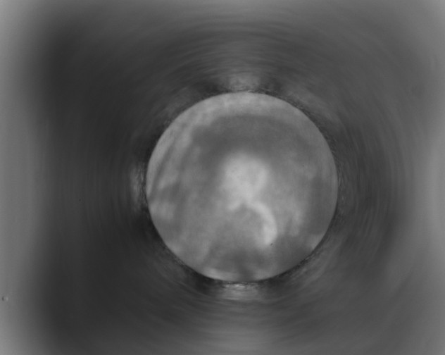 X0000088480240200706191412