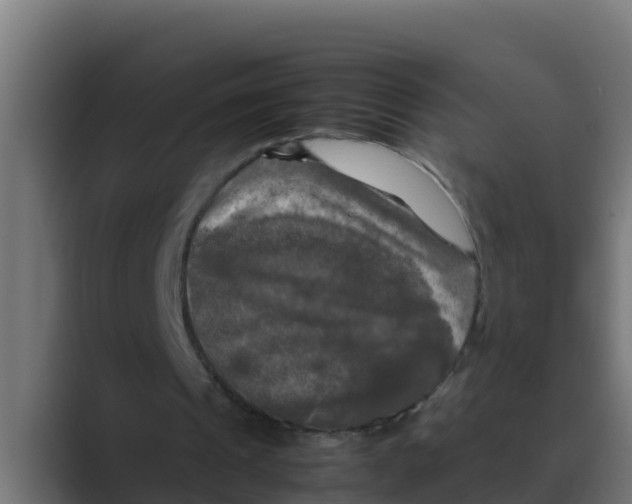 X0000088480241200706191411