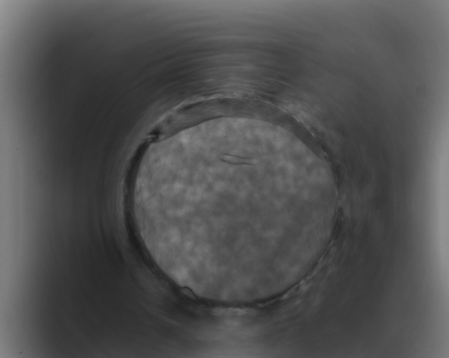 X0000088480242200706191411