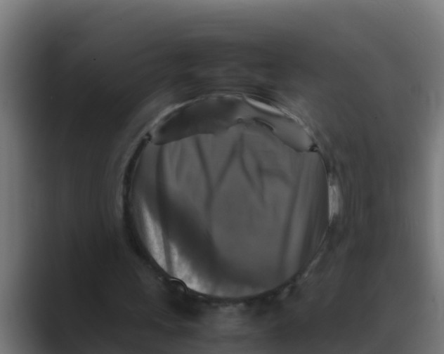 X0000088480243200706191411