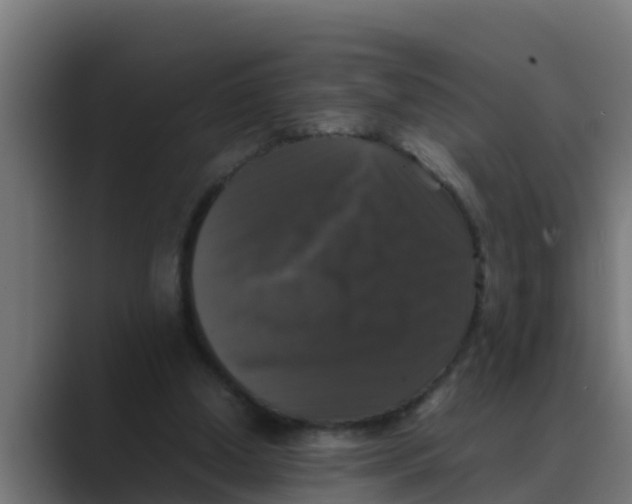 X0000088480250200706191411