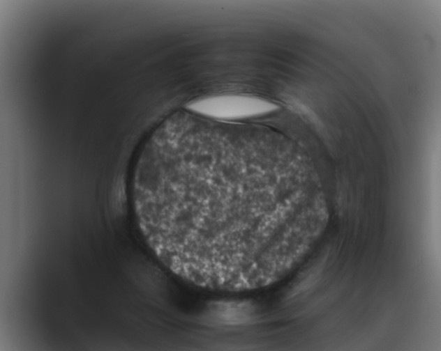 X0000088480251200706191412