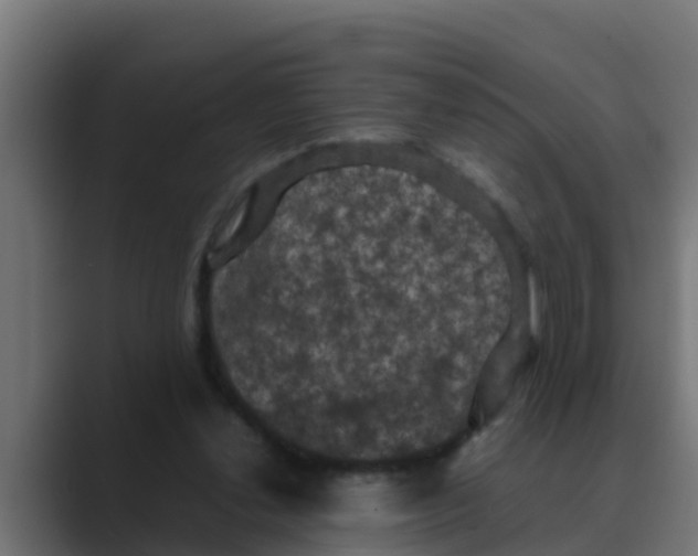 X0000088480252200706191412