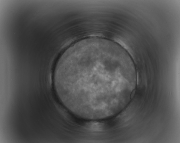 X0000088480253200706191412