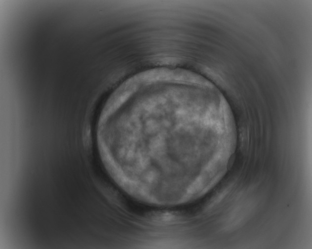 X0000088480254200706191412