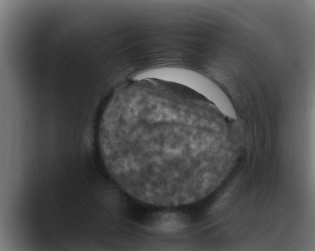 X0000088480255200706191412