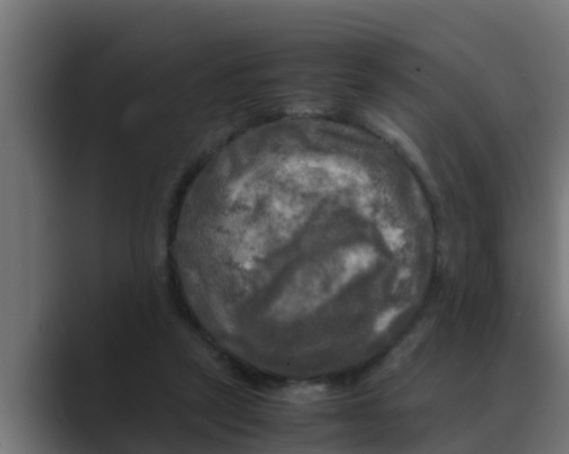 X0000088480257200706191412